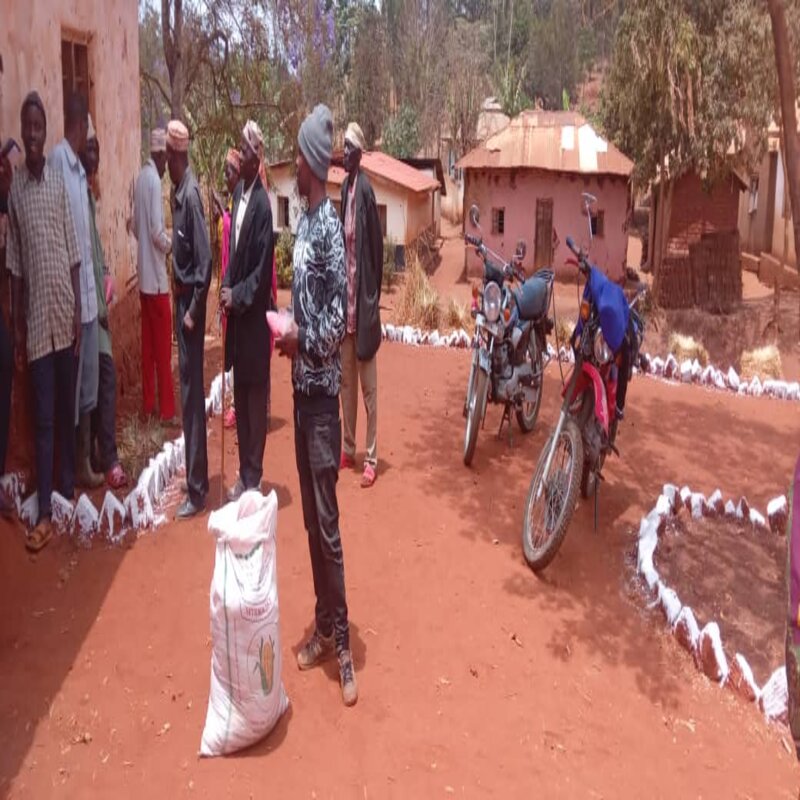 Seeds for food security